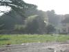 Ruins of old Beamish estate 2_thumb.jpg 2.1K